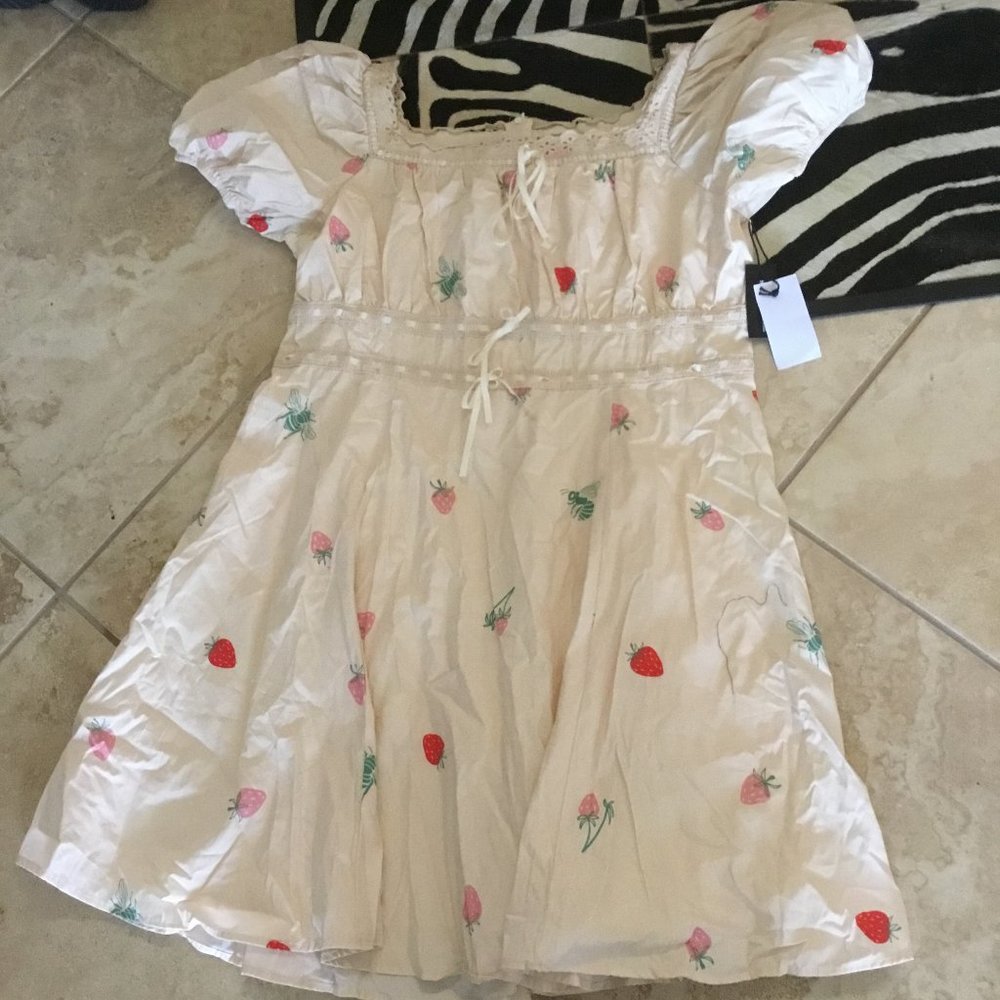 Unique Vintage  Saint Geraldine insect embroidered dress size XXL New $178.00